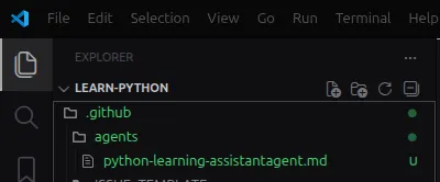 Custom Agents Folder